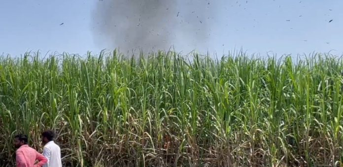 Crops burnt due to power line being cut..