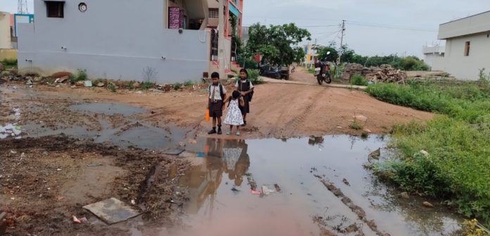 Dont mind the stench? Dont mind the stench?