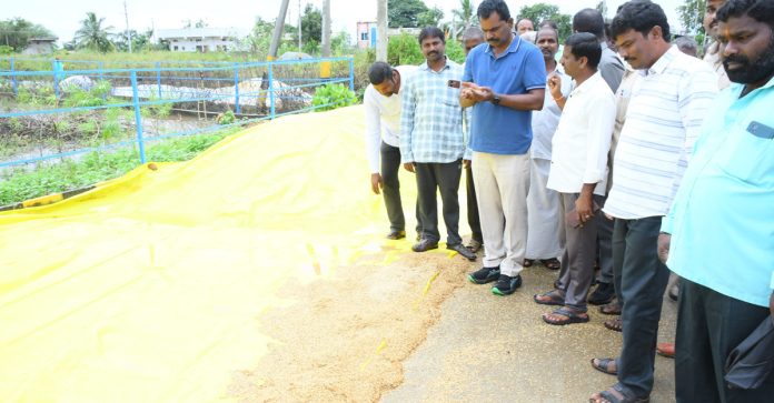Dont worry about the rice getting wet: MLA Dont worry about the rice getting wet: MLA