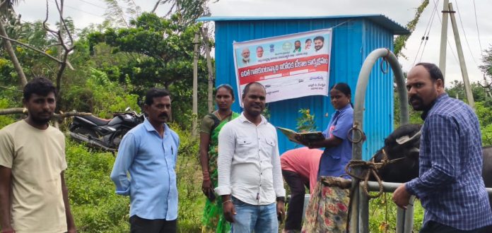Farmers should take advantage of free veterinary camps Farmers should take advantage of free veterinary camps