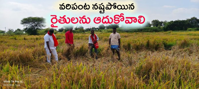 Farmers whose paddy crop has been damaged should be supported: CPI(M) Farmers whose paddy crop has been damaged should be supported: CPI(M)