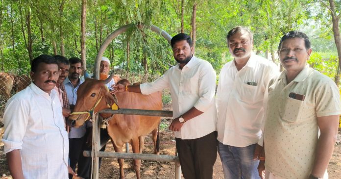 Livestock should be vaccinated against rabies