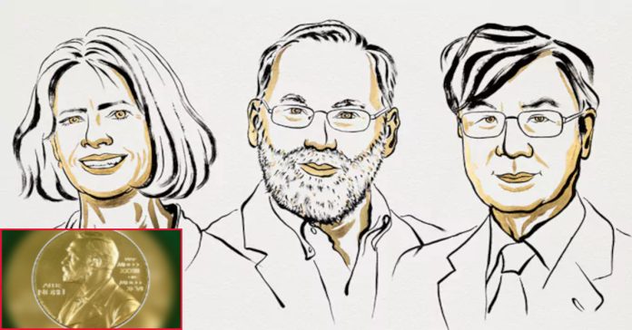 Three awarded Nobel Prize in Medicine