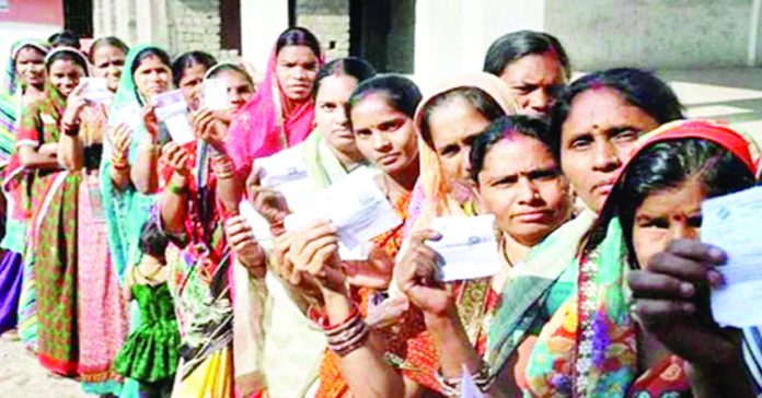12 documents for voter identification