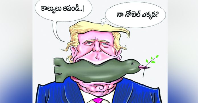 Nobel Politics-Social Signals