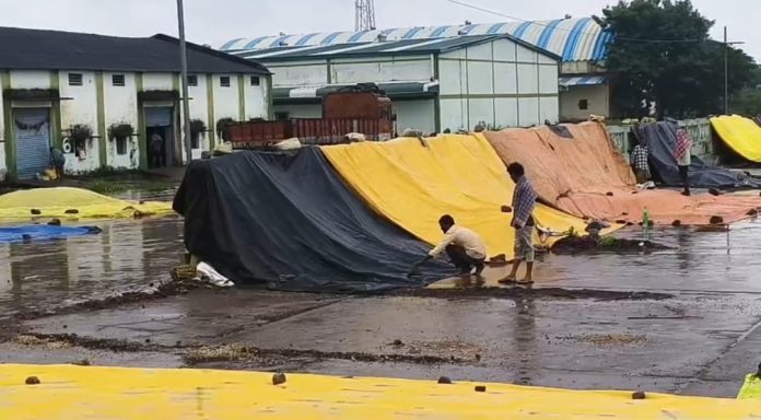 WhatsApp Image 2025-10-29 at 3.43.18 PM (1)