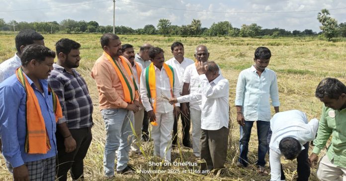 Farmers should pay compensation for their lost crops