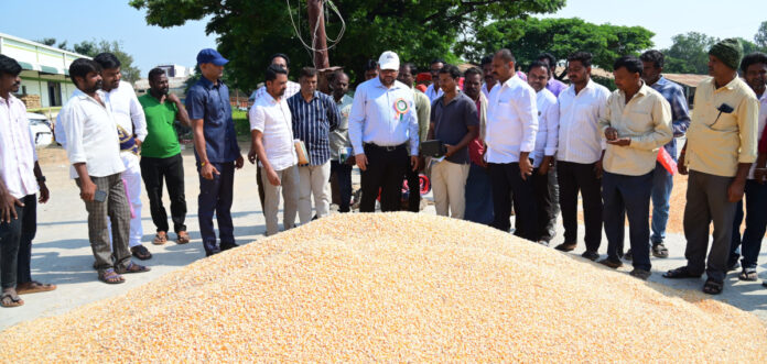 కల్వకుర్తిలో మొక్కజొన్న కొనుగోలు కేంద్రాన్ని తనిఖీ చేసిన కలెక్టర్