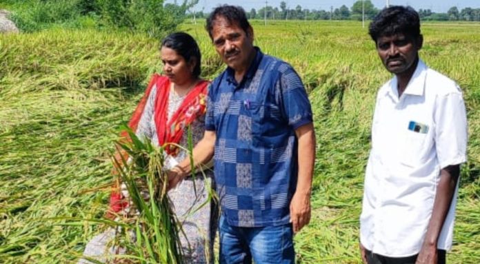 Damaged crops should be recorded.