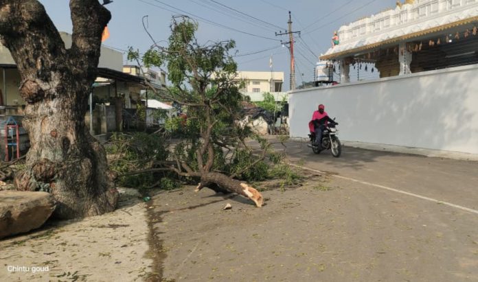 విద్యుత్ అధికారుల నిర్లక్ష్యానికి నిదర్శనం