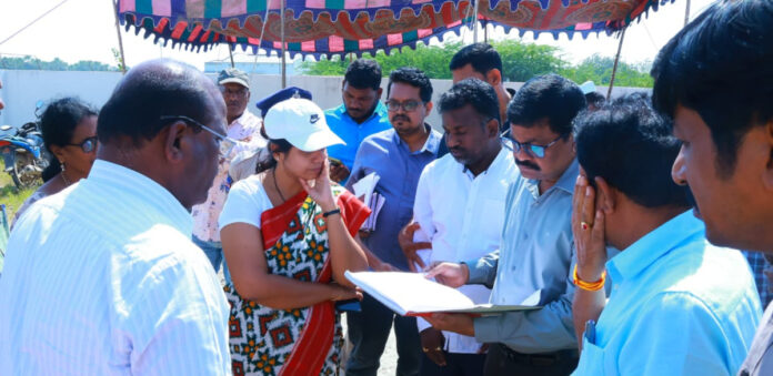 Grain that meets quality standards should be purchased immediately: Collector