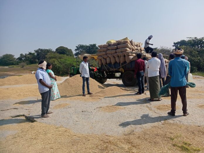 కొనుగోలు కేంద్రాన్ని పరిశీలించిన ఏపిఎం