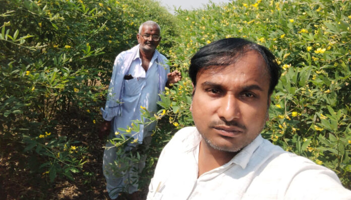 శెనగ, కంది పంటలను సందర్శించిన నాగల్ గావ్ ఏఈవో