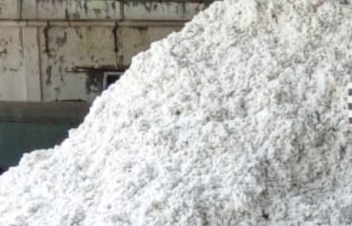 అమ్ముదామా..ఆగుదామా.?