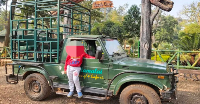 నల్లమలలో సాగుతున్న టైగర్ సఫారీ టూర్