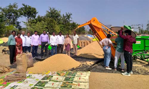 వరి ధాన్యం కొనుగోలు ప్రక్రియ చిత్రీకరణ
