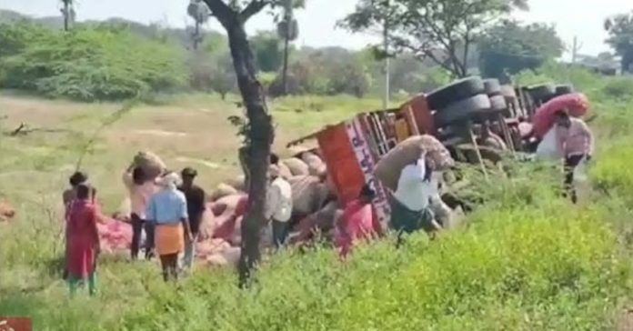 ఉల్లి లోడుతో వెళ్తున్న లారీ బోల్తా.. బస్తాలు ఎత్తుకెళ్లిన జనం