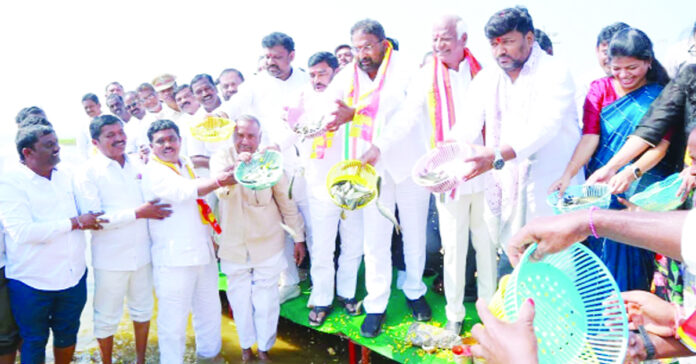 84కోట్ల చేపపిల్లలు పంపిణీ