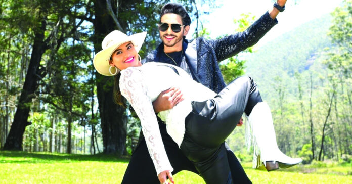 ‘నా తెలుగోడు’ రిలీజ్కి రెడీ