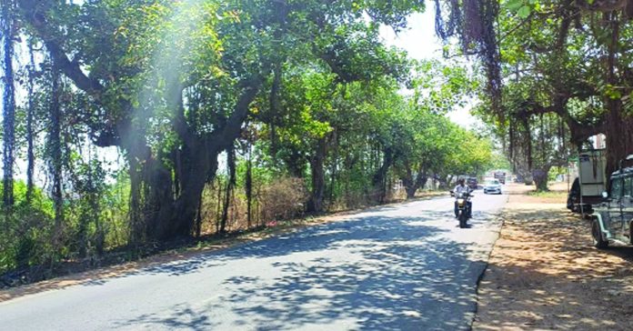 ఐదేండ్లలో 300మంది మృతి