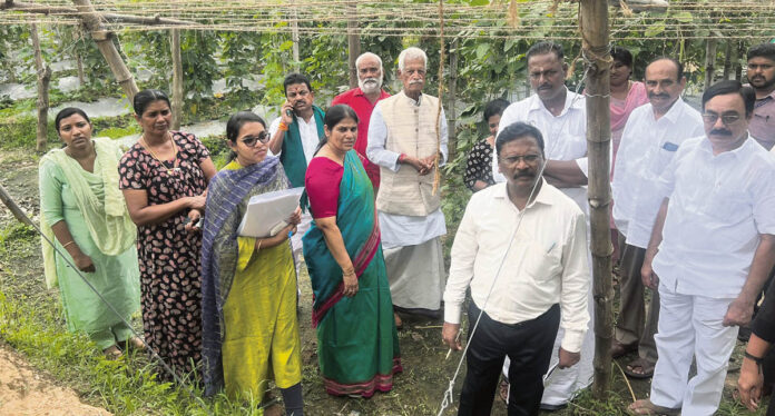 కేరళలో కూరగాయ పంటల సాగు భేష్