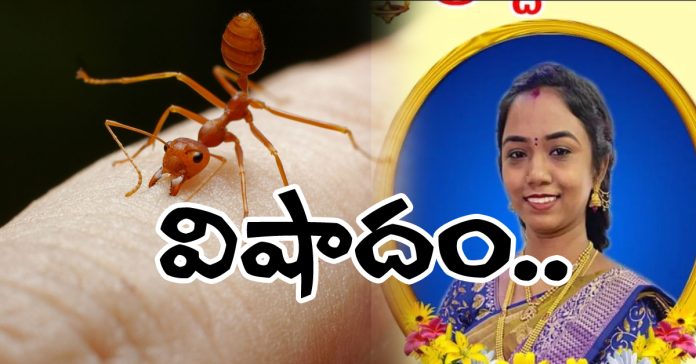 చీమల భయం..వివాహిత ఆత్మహత్య