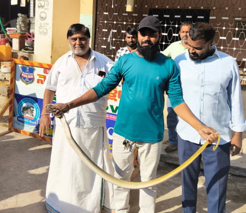 పార్వతిపురం వసతిగృహంలో నాగుపాము కలకలం..