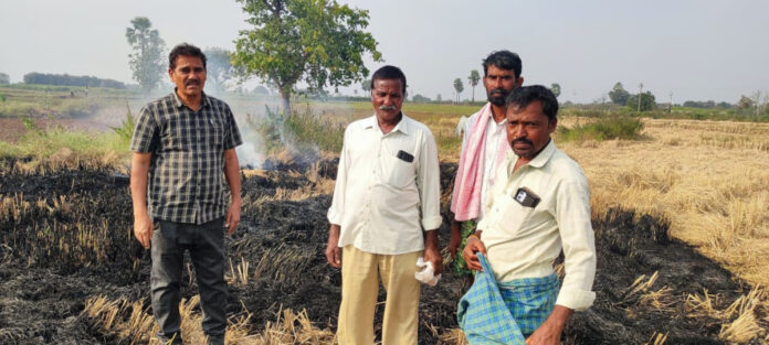 Dont set fire to the rice paddy.