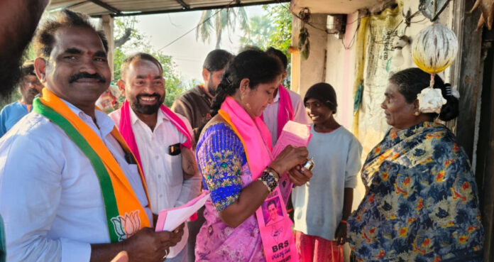 విజయమే లక్ష్యంగా మాజీ ఎంపీపీల విస్తృత ప్రచారం