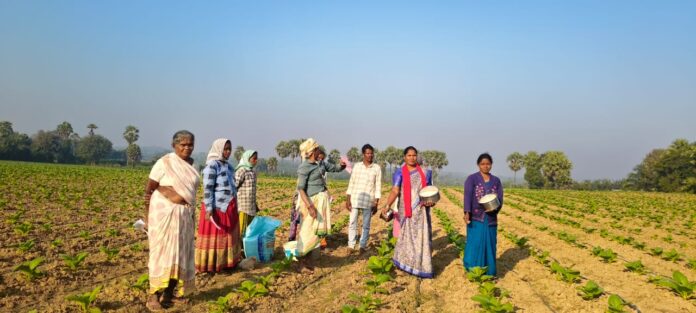సాగు క్షేత్రాల్లో సీపీఐ(ఎం) ప్రచారం