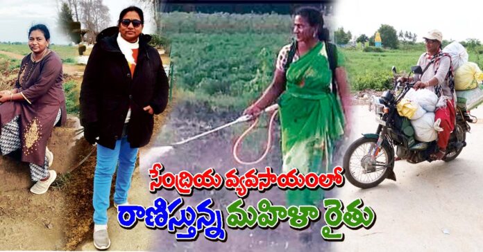 సేంద్రియ వ్యవసాయంలో రాణిస్తున్న మహిళ రైతు