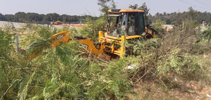 అనుమతులు లేకుండానే హరితహారం చెట్ల తొలగింపు?