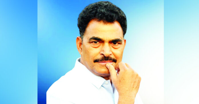 కుంభమేళా కోసం వేలాది చెట్లు నరికివేత