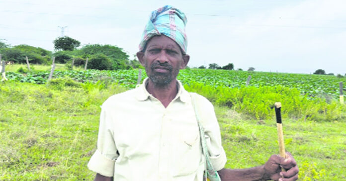 ‘నడిగడ్డ’లో జీపీలపై సీడ్ ఆర్గనైజర్ల కన్ను !