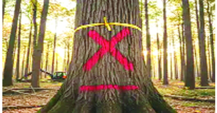 వి’నాసిక్’ నిర్ణయం