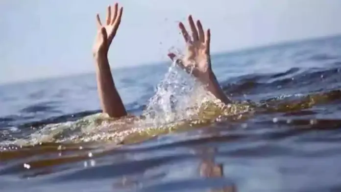 నీటి కుంటలో పడి అన్నదమ్ములు మృతి