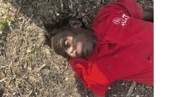 ఈత చెట్టుపై నుంచి పడి గీత కార్మికుడు మృతి