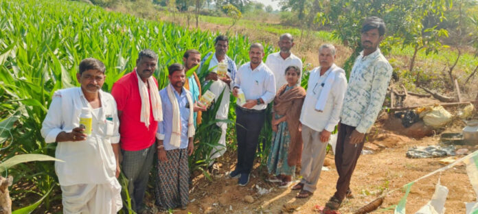 మొక్కజొన్న సాగుపై అవగాహన కల్పించిన ఏవో రాజు