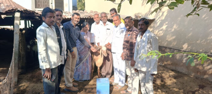 అమ్మ తల్లి టీకాలను ప్రారంభించిన జుక్కల్ సర్పంచ్