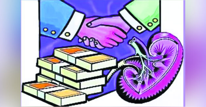 మహారాష్ట్రలో కిడ్నీ రాకెట్