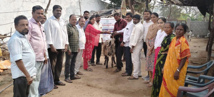 పశువైద్య సేవలను సద్వినియోగం చేసుకోవాలి