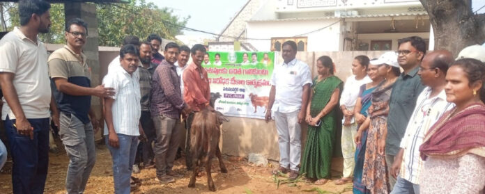 Livestock should be vaccinated against rabies