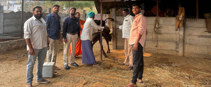 Diphtheria vaccination program