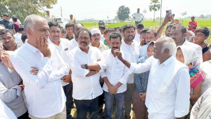 తన్నీరు హరీశ్‌రావు