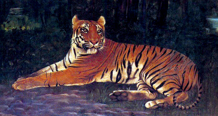 పెద్దపులి తోకట్టుకున్నారు