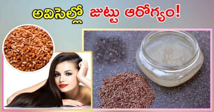 అవిసె గింజ