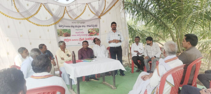 Awareness seminar on oil farm crop in Saumur