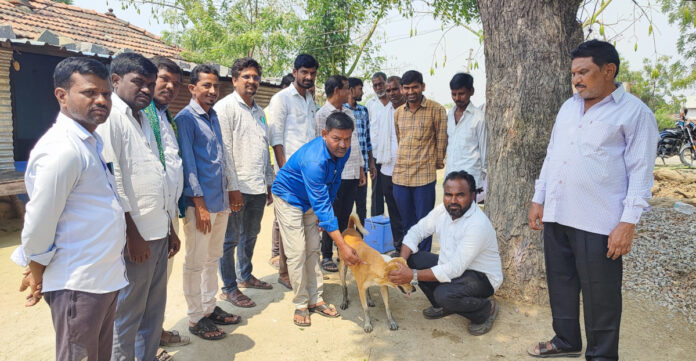 పెద్ద ఏడ్గి 99 డేస్ ప్రోగ్రాంలో పాల్గొన్న డీపీఓ
