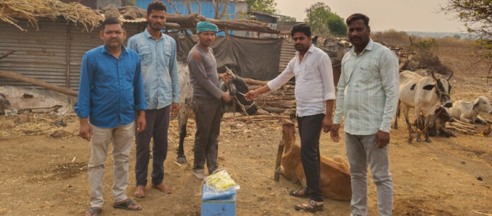 Sarpanch launches diphtheria vaccinations