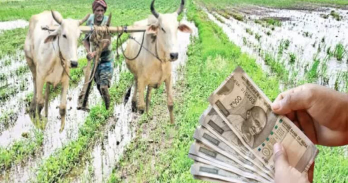 మొదటి విడతలో ఎకరం భరోసా..